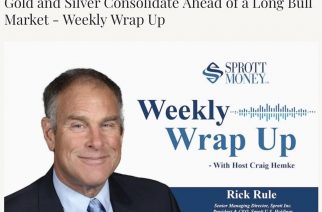 Big Picture: The Fundamental Strength of the Bull Market – Weekly Wrap Up