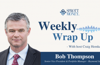 How To Ride the Bull in 2021: A Guide for Precious Metals Investors – Weekly Wrap Up