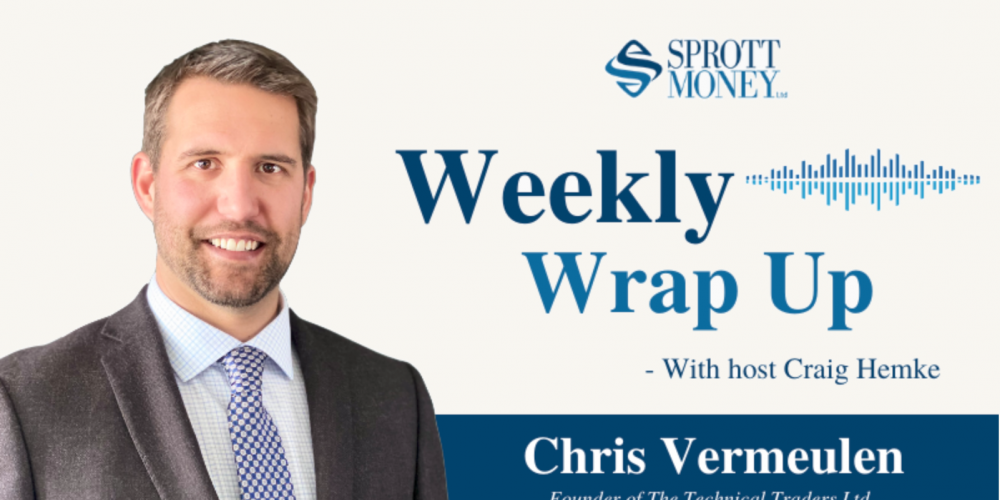 Panic in Precious Metals Market: a Good Sign? – Weekly Wrap Up
