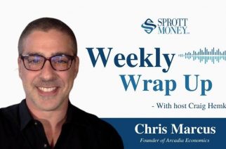 What Do You Really Own With Unallocated Precious Metal? – Weekly Wrap Up