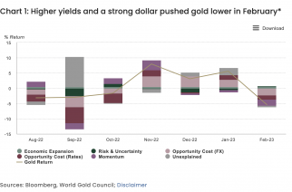 Gold Market Commentary: Gold winded in February by strong US data